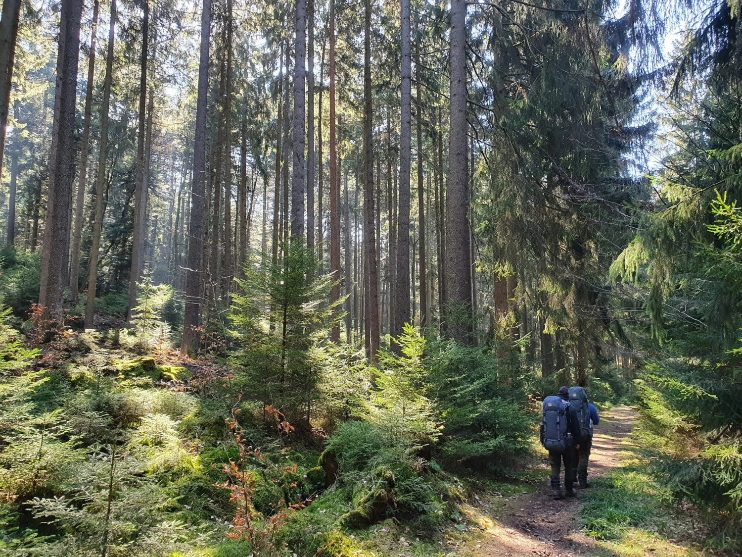 FJÄLLRÄVEN Kajka 75 - Trekkingrucksack 11 FJÄLLRÄVEN Kajka 75 - Trekkingrucksack – Bild 11