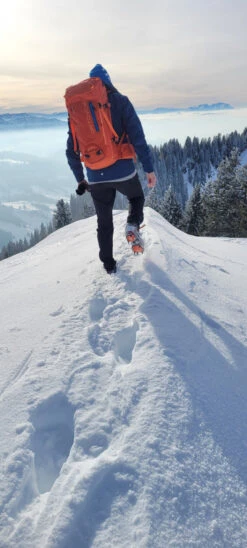 Ortovox Peak 35 - Tourenrucksack 9 Ortovox Peak 35 - Tourenrucksack -Outwell Deutschland Verkaufs-Shop ortovox peak 35 tourenrucksack 479eeaaef0ad34f8d4b20e458b7c94a1 1