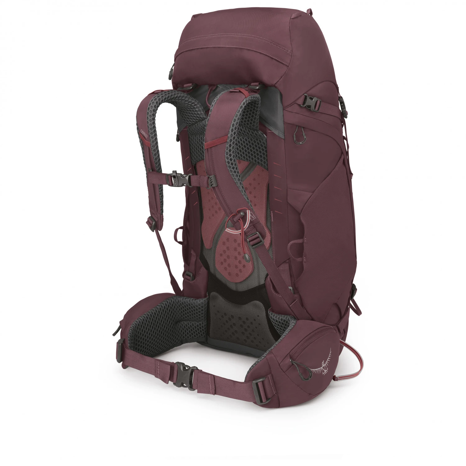 Osprey Women's Kyte 48 - Trekkingrucksack 3 Osprey Women's Kyte 48 - Trekkingrucksack – Bild 3