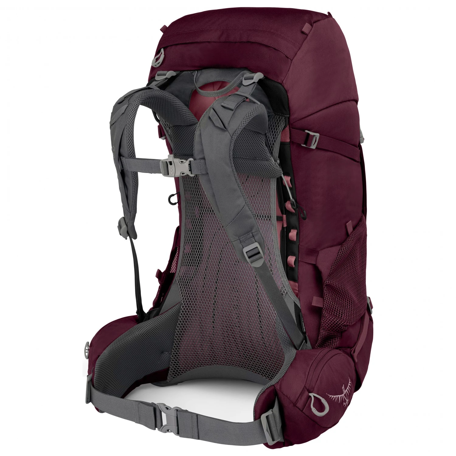Osprey Women's Renn 50 - Trekkingrucksack 3 Osprey Women's Renn 50 - Trekkingrucksack – Bild 3